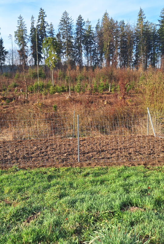 Wildschutzzaunbau